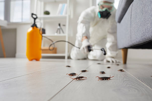 Commercial Kitchen Cockroach Control in Monroeville